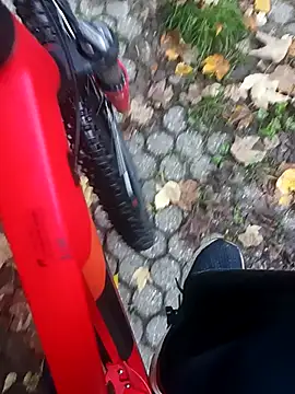 maleesa online show from 10.11.25