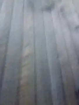 maleesa online show from 10.12.25