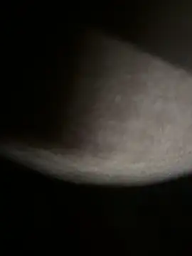 Bongcrush 3 online show from 03.08.25