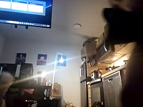 Armyexhibitionistvet online show from 11.26.25