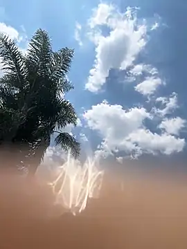 THEBUTTERNUT online show from 02.06.26