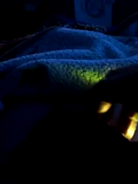 mivergateculeabienrico online show from 02.04.26