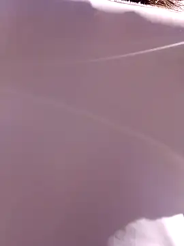 Violeta 12- online show from 01.22.25