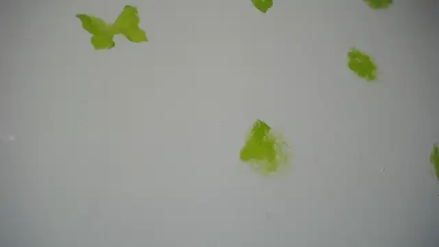 Snapshot of RACHELL__HOT chatting on 09.30.25 RACHELL HOT online show from 09.30.25