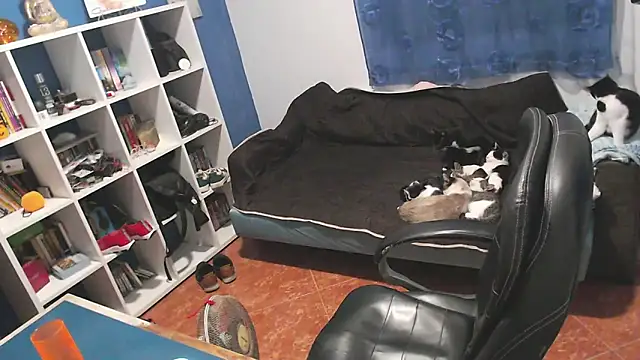 ravingr4d4 online show from 11.01.25