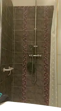 pachapeter online show from 01.29.25