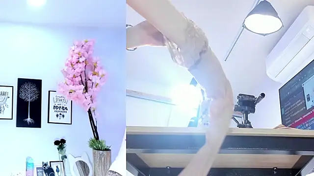 Siouxsie cenobite online show from 10.28.25