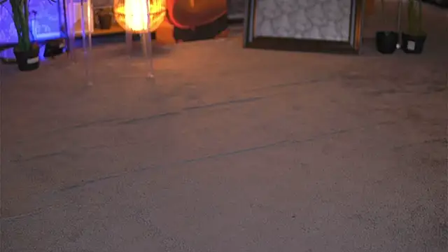 EvaZane online show from 01.29.25