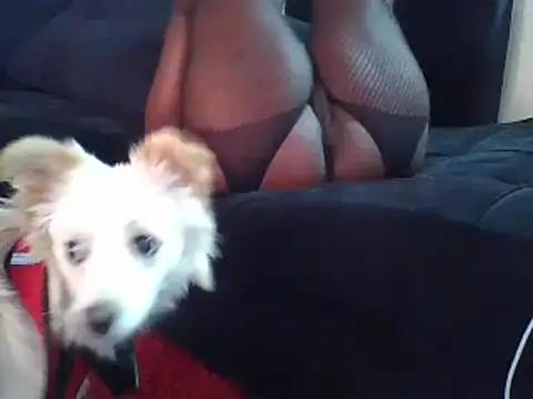 KikiLovesD online show from 12.23.24