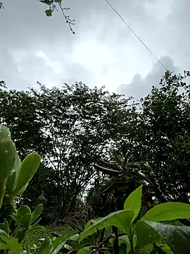 ViolettaSummer online show from 01.12.26