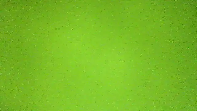 AbbyX online show from 11.29.25