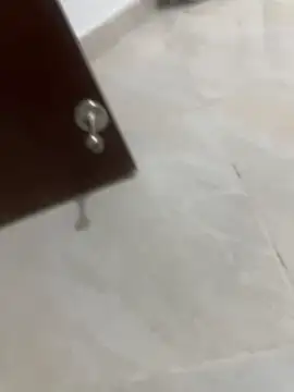 Naughty arabs online show from 01.07.25