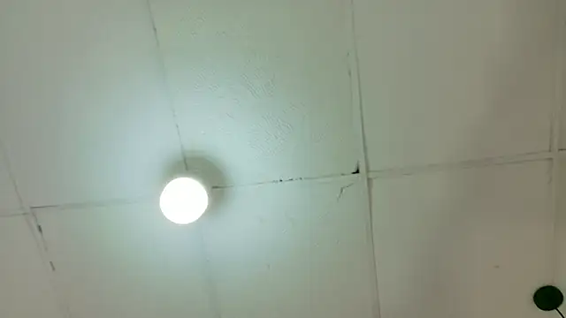 kendalltaylorr online show from 03.06.26