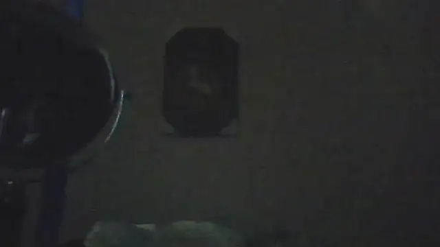 hailzeffn online show from 05.07.26