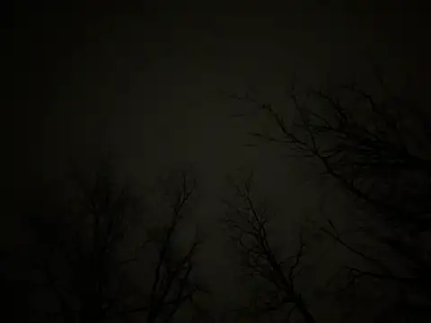 watermellonpussy online show from 03.23.25