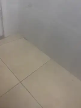 rafahpirusudo online show from 03.19.26