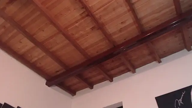 seleneh online show from 03.10.25