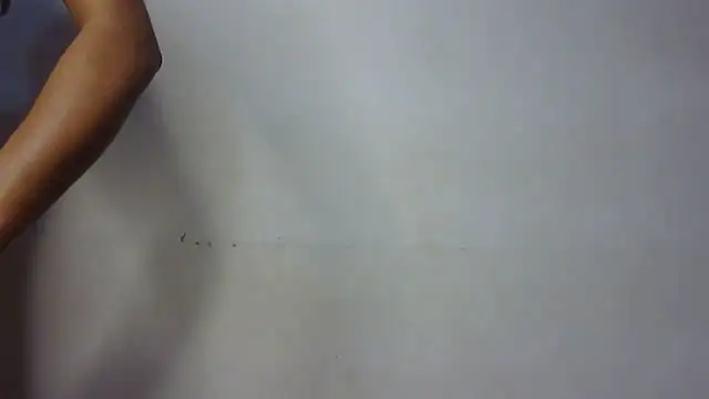 Snapshot of seema_raani chatting on 01.24.25 seema raani online show from 01.24.25