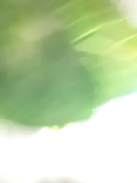 Snapshot of Wanda_and_cosmo_ chatting on 03.07.25 Wanda and cosmo online show from 03.07.25