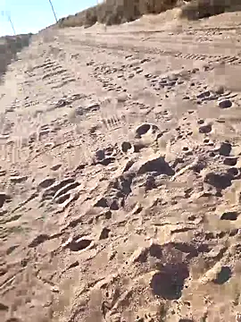 prettyboi6992 online show from 03.01.26