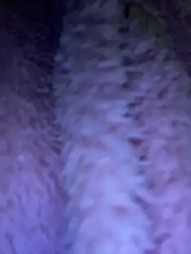 TrenaAnne online show from 03.21.25