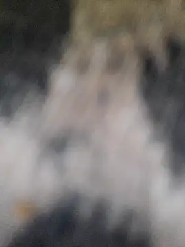 marcialoira online show from 02.05.25