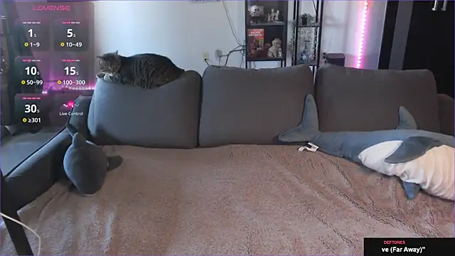 Clairedelilah online show from 01.21.25