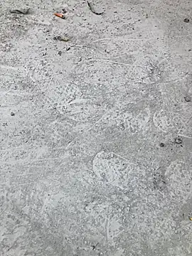 Beijing2000 online show from 10.11.25