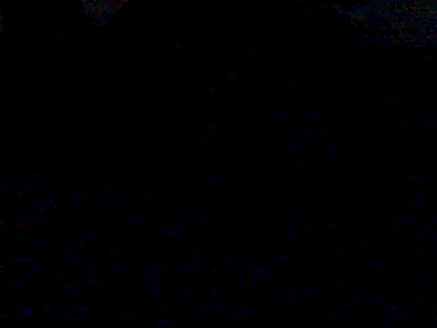 mariy  online show from 03.16.25