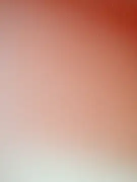 zhenzhen521 online show from 11.11.25