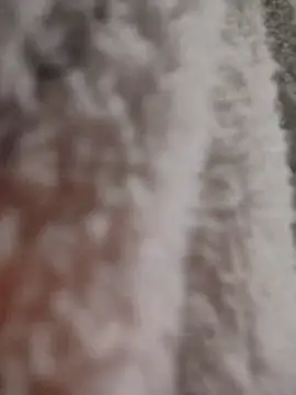 tata laima   online show from 01.12.26