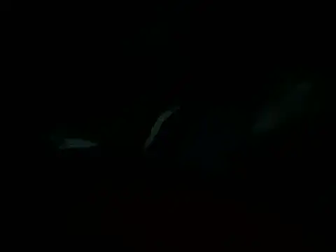 Snapshot of Billythekidd1978 chatting on 03.22.25 Billythekidd1978 online show from 03.22.25