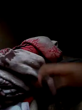 Snapshot of rolagrossa19@xh chatting on 02.25.26 rolagrossa19xh online show from 02.25.26