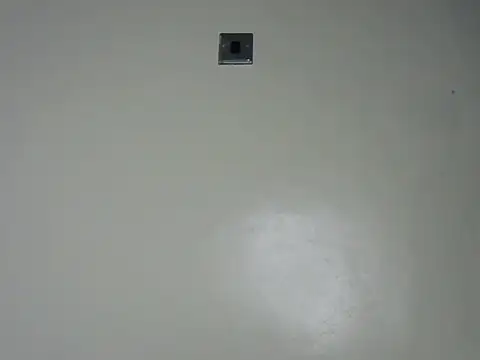 Rasta tattooed online show from 12.19.25