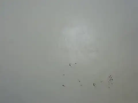 Rasta tattooed online show from 02.06.26