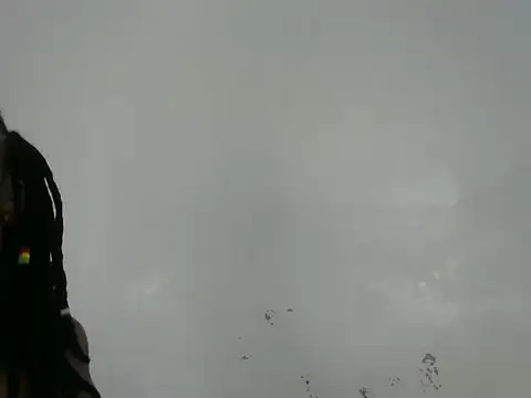 Rasta tattooed online show from 03.13.26