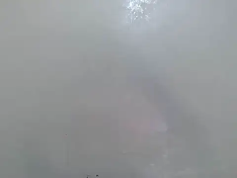 Rasta tattooed online show from 03.18.26