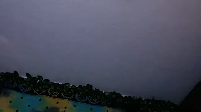 chanel 1041 online show from 12.26.24