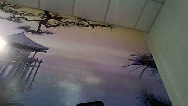 AliceTailor online show from 03.06.26