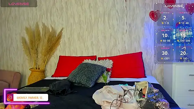 Snapshot of emily_parkerr chatting on 02.19.25 emily parkerr online show from 02.19.25