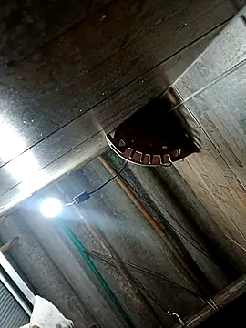 Snapshot of Restrepo300 chatting on 10.03.25 Restrepo300 online show from 10.03.25