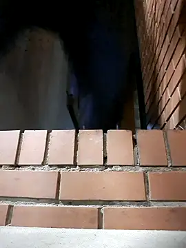 Petrossa online show from 11.24.25