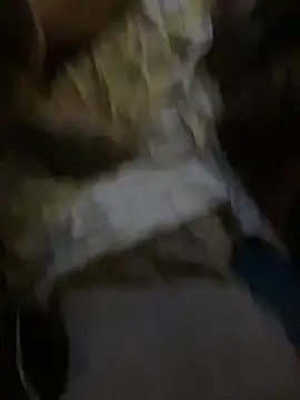 Snapshot of WilldoPita chatting on 01.06.25 WilldoPita online show from 01.06.25