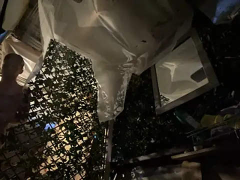 trash4cash online show from 03.23.26