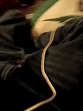 ySqmbVanbe online show from 01.07.26