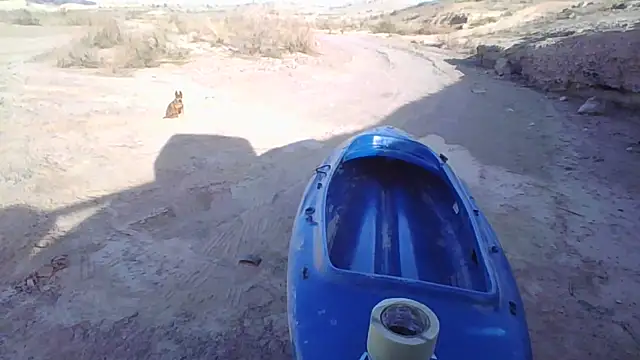 FloppyPickle4u online show from 12.20.25