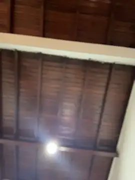 emiss  online show from 12.02.25