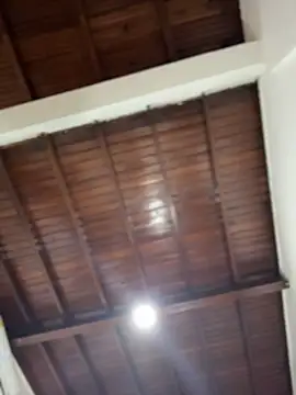 emiss  online show from 12.03.25