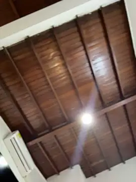 emiss  online show from 01.17.26