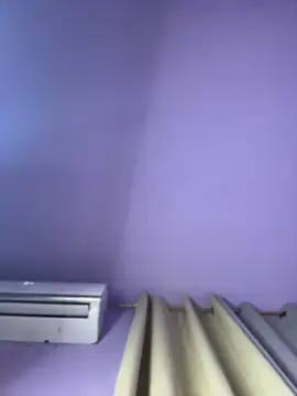 emiss  online show from 02.20.26